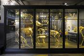 manchester museum 9-2023 8785